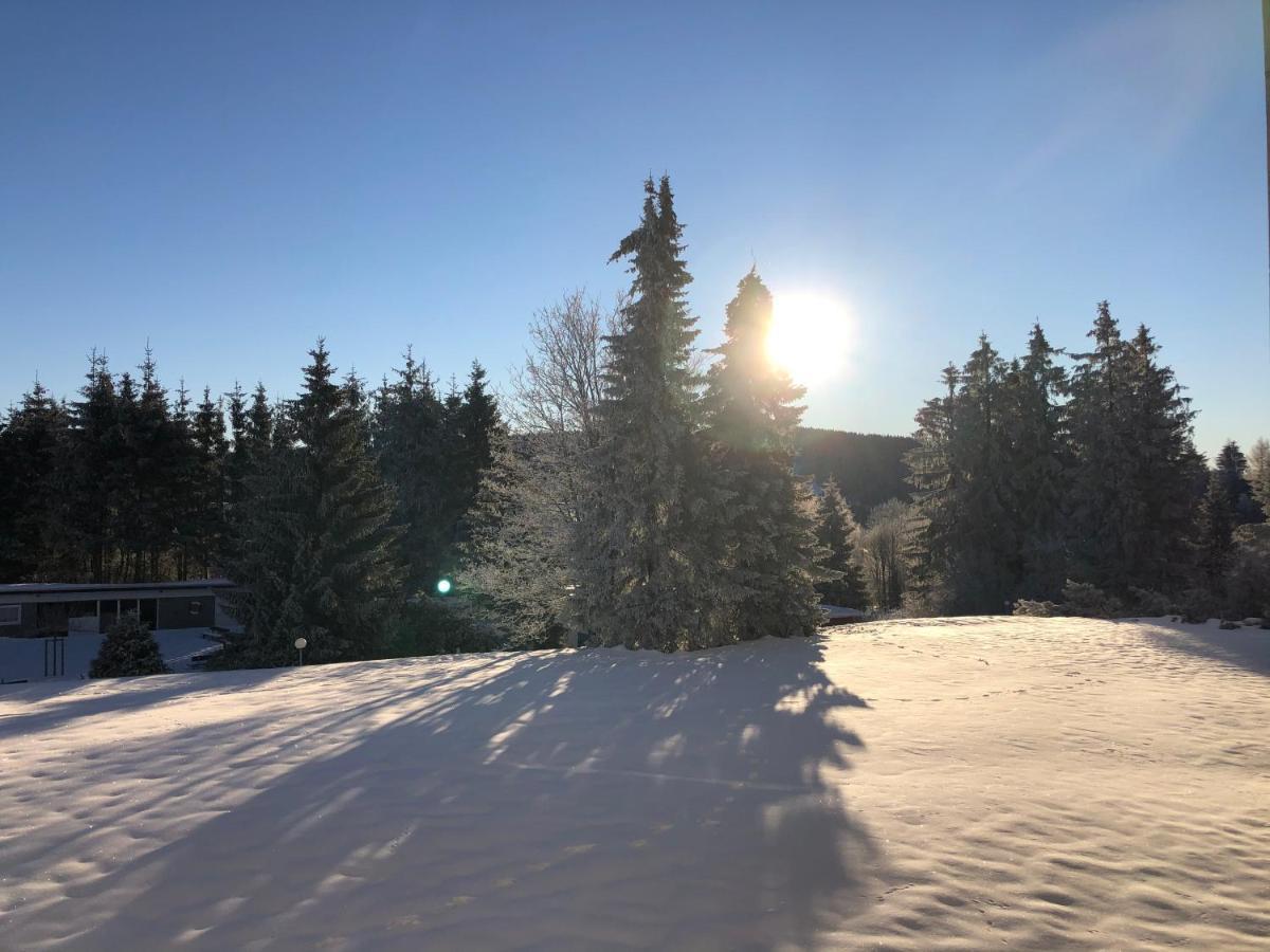 Bocksbergglueck In Hahnenklee, Endreinigung, Bezogene Betten, Handtuecher Inklusive Apartment Goslar Bagian luar foto