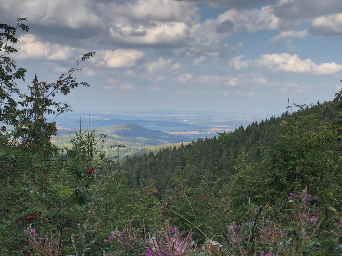 Bocksbergglueck In Hahnenklee, Endreinigung, Bezogene Betten, Handtuecher Inklusive Apartment Goslar Bagian luar foto